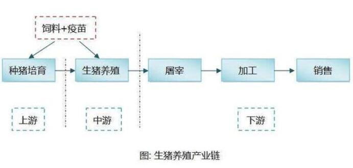 畜牧十四五規(guī)劃對生豬產(chǎn)業(yè)的指導(dǎo)意義 十四五專題 第3張